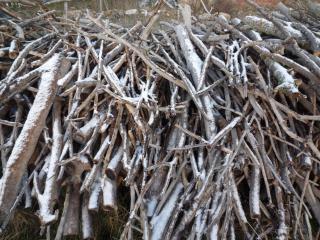 Atempo Berzosa Arce - 6