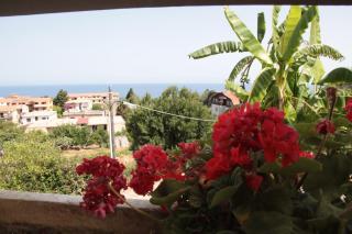 Bed And Breakfast casagalez - Santa Domenica - 9