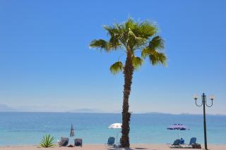 Alexandra Apartment - 1