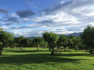 Romantic Time Mountain Resort - Pai - 2