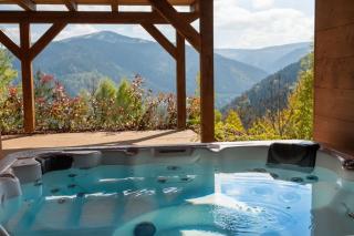 La Cabane de Tim - Muhlbach-sur-Munster - 0