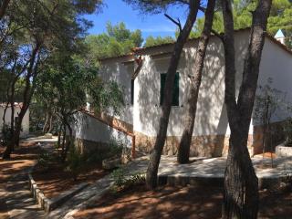 Residence M3 - Peschici - 7