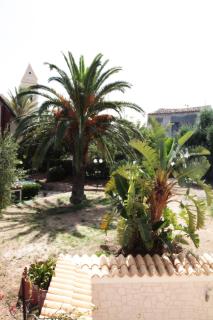 Bed And Breakfast casagalez - Santa Domenica - 2