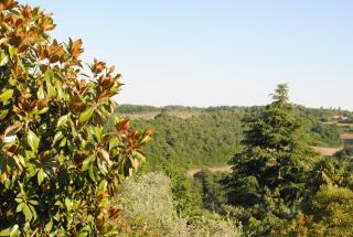 Il gelsomino del Perugino - Città della Pieve - 5