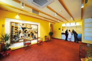 Hotel Cristina - Rocca San Giovanni - 5