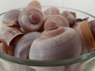 APARTMENT BY THE SEA Bed by the Sea - Vlissingen - 6