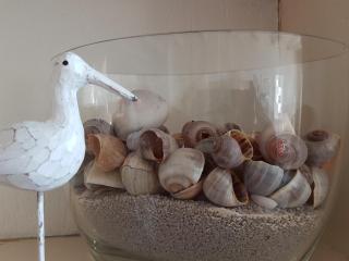 APARTMENT BY THE SEA Bed by the Sea - Vlissingen - 4