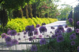 Lake View Villa - Lyck - 8