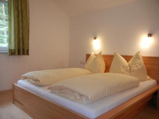 Haus Terra - Ramsau am Dachstein - 1