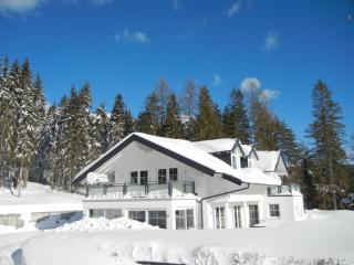 Haus Terra - Ramsau am Dachstein - 3