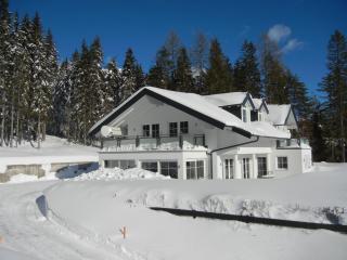 Haus Terra - Ramsau am Dachstein - 7