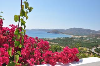Castri Village Hotel - Paleocastro (Palekastron) - 4
