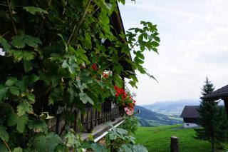 Ferienwohnungen im Blockhaus Metzler - Schwarzenberg - 2