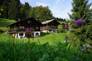 Ferienwohnungen im Blockhaus Metzler - Schwarzenberg - 1