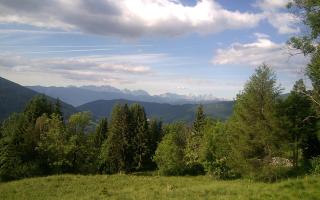Rauter in Wöllan - Arriach - 8