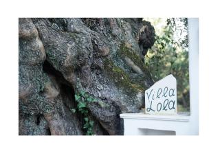 Villa Lola - 3 Bedrooms & Private Pool - Lithakia - 8