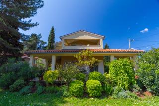 Franulovic Apartments - 1