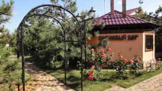 Villa Sosnovy Bor - 5