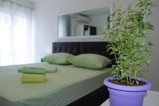 Guest House Put - Neum - 9