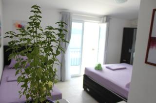 Guest House Put - Neum - 8