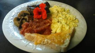 Top House Bed and Breakfast - 2