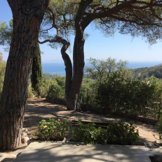 Villetta Straccoligno - Capoliveri - 1