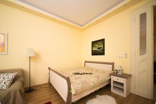 Rox Central Apartments 2 - Timişoara - 6