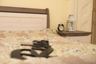 Rox Central Apartments 2 - Timişoara - 4
