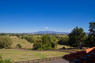 Rua Resort - Hamilton - 3