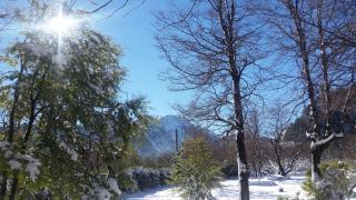 Tatas Haus - 4