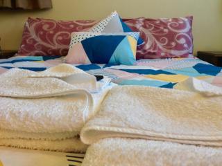 Big & Bright Guest House - Dunedin - 4