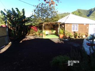 Les Aubepines - La Plaine des Palmistes - 0