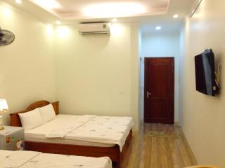 Ninh Binh Central Hotel - Ninh Binh - 1