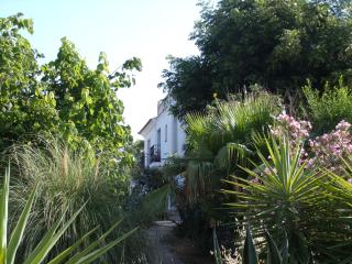 La Finca Blanca - 5