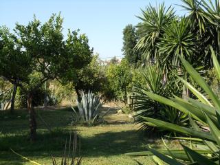 La Finca Blanca - 3