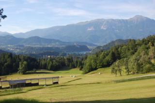 Chalet ApArt Kupljenik 12 A, Bled - Bohinjska Bela - 4