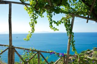 Sopra il Limoneto - 2
