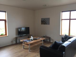 Steinn Farm Private Apartment - Sauðárkrókur - 4