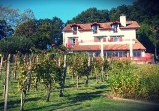 La Ferme Ostalapia - Ahetze - 0