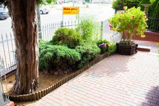Pod Cisami Apartments - Misdroy - 6