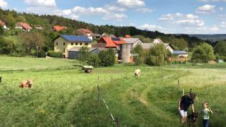 Ferienwohnungen Elsbacher Hof - Erbach - 8