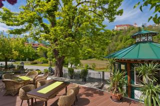 Landhotel Mariensäule - Wernstein am Inn - 6