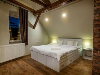 Studio Unseen Brasov - Braşov - 4