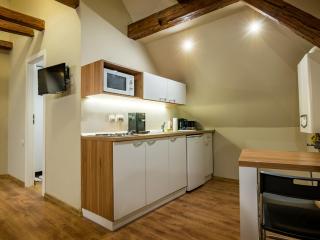 Studio Unseen Brasov - Braşov - 6