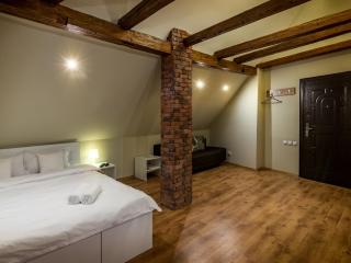 Studio Unseen Brasov - Braşov - 5