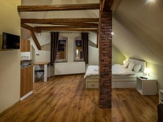 Studio Unseen Brasov - Braşov - 8
