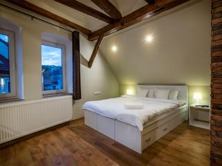 Studio Unseen Brasov - Braşov - 0