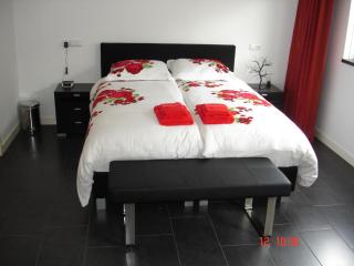 Cecilia - Catharina B&B - Joure - 4