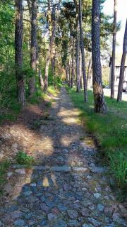 Apartamentai Nidoje - 7