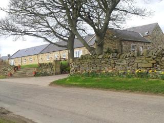 Hamsteels Hall Cottages - Langley Park - 0